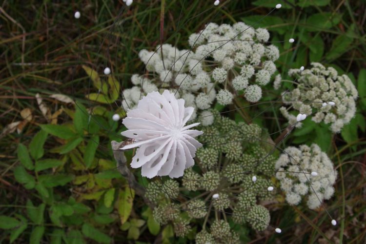 Artist In Residence | Iceland | In the Field | Jenni Ward ceramic sculpture