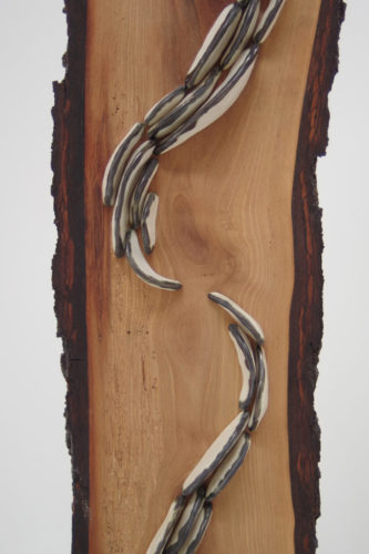 Lichen Series | Walnut Trees | installations | Jenni Ward ceramic sculpture