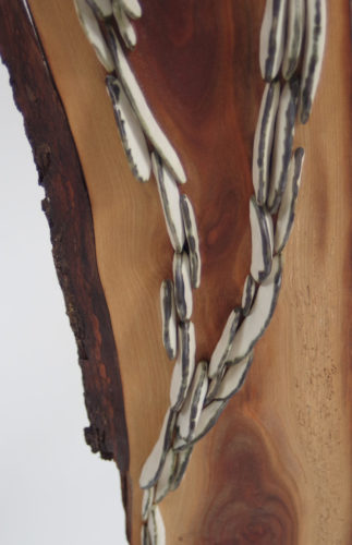 Lichen Series | Walnut Trees | installations | Jenni Ward ceramic sculpture