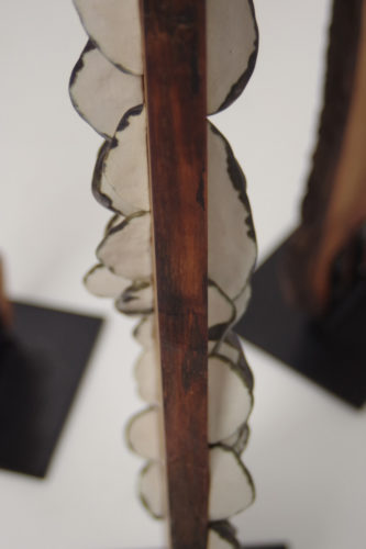 Lichen Series | Walnut Trees | installations | Jenni Ward ceramic sculpture