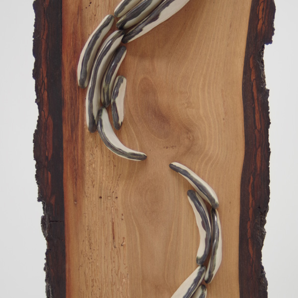 Lichen Series | Walnut Trees | installations | Jenni Ward ceramic sculpture