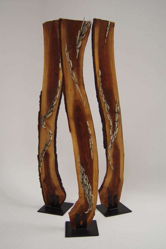 Lichen Series | Walnut Trees | installations | Jenni Ward ceramic sculpture