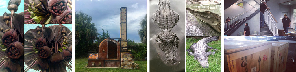 hurricanes, gators, oh my! | the dirt | Jenni Ward ceramic sculpture