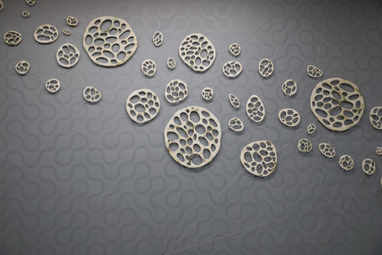 Bone Series: Biophilia Connections | installations | Jenni Ward ceramic sculpture
