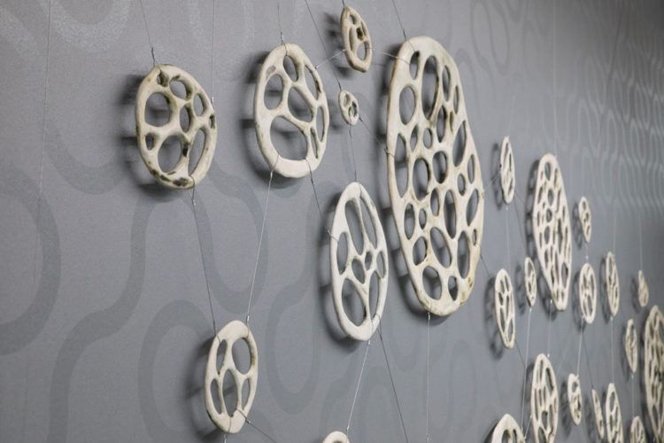 Bone Series: Biophilia Connections | installations | Jenni Ward ceramic sculpture