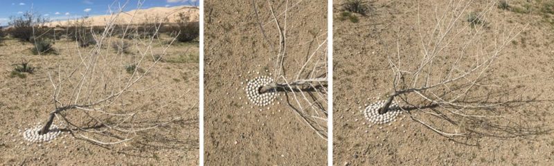 week one: ephemeral art installations | the dirt | Jenni Ward ceramic sculpture