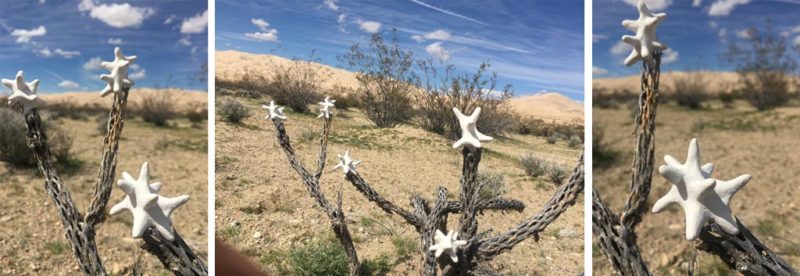week one: ephemeral art installations | the dirt | Jenni Ward ceramic sculpture