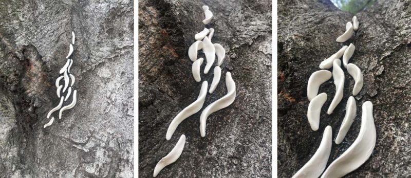 art in the time of coronavirus | the dirt | Jenni Ward ceramic sculpture