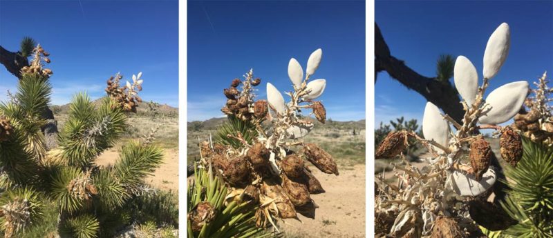 week five ephemeral art installations | the dirt | Jenni Ward ceramic sculpture