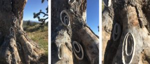 week five ephemeral art installations | the dirt | Jenni Ward ceramic sculpture