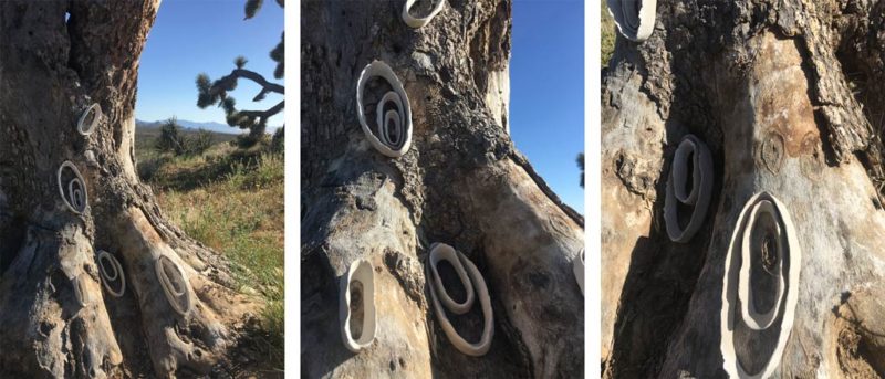 week five ephemeral art installations | the dirt | Jenni Ward ceramic sculpture
