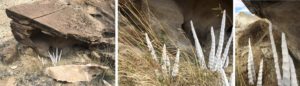week two: ephemeral art installations | the dirt | Jenni Ward ceramic sculpture