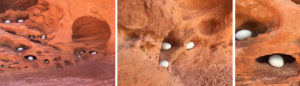 week two: ephemeral art installations | the dirt | Jenni Ward ceramic sculpture