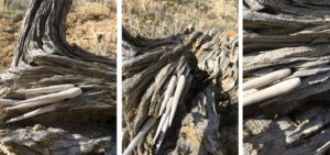week two: ephemeral art installations | the dirt | Jenni Ward ceramic sculpture