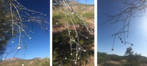 week four: ephemeral art installations | the dirt | Jenni Ward ceramic sculpture