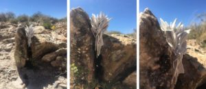 week four: ephemeral art installations | the dirt | Jenni Ward ceramic sculpture