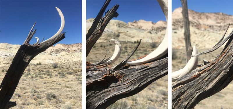 week three: ephemeral art installations | the dirt | Jenni Ward ceramic sculpture