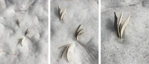 week three: ephemeral art installations | the dirt | Jenni Ward ceramic sculpture