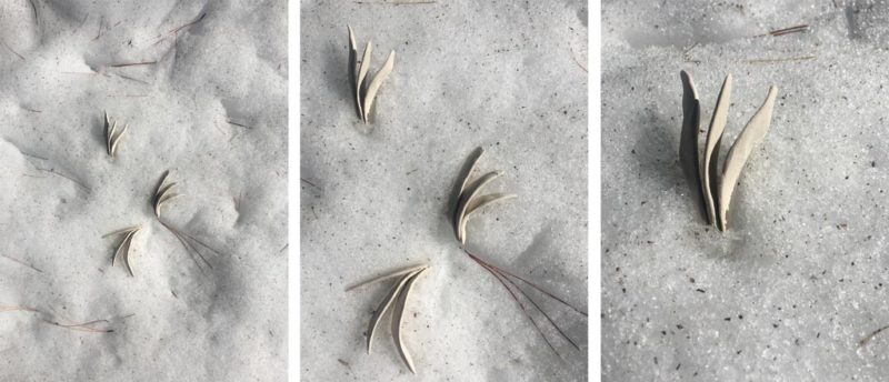 week three: ephemeral art installations | the dirt | Jenni Ward ceramic sculpture