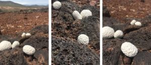 week six ephemeral art installations | the dirt | Jenni Ward ceramic sculpture