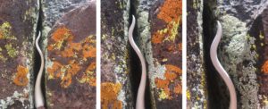week six ephemeral art installations | the dirt | Jenni Ward ceramic sculpture