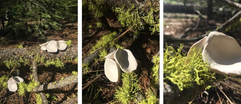 week six ephemeral art installations | the dirt | Jenni Ward ceramic sculpture