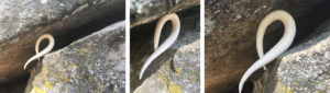 week six ephemeral art installations | the dirt | Jenni Ward ceramic sculpture