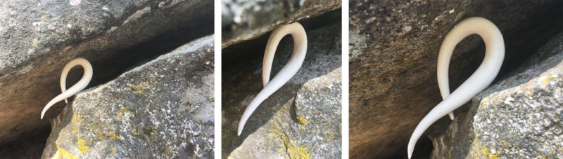 week six ephemeral art installations | the dirt | Jenni Ward ceramic sculpture