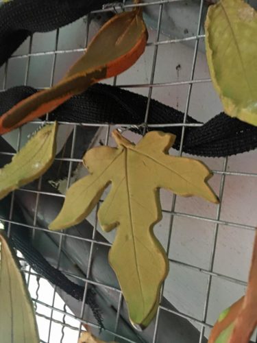 Wulai School Project | public art | Jenni Ward ceramic sculpture