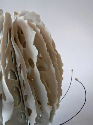 bone series | yingge ceramic museum residency | objects | Jenni Ward ceramic sculpture