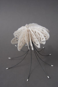bone series medusas | shop | Jenni Ward ceramic sculpture