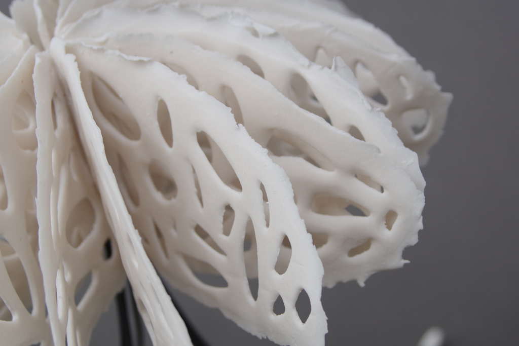 bone series medusas | shop | Jenni Ward ceramic sculpture