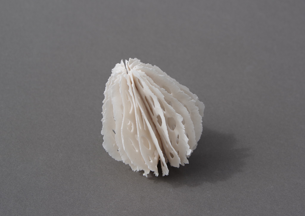 bone series: urchins | shop | Jenni Ward ceramic sculpture