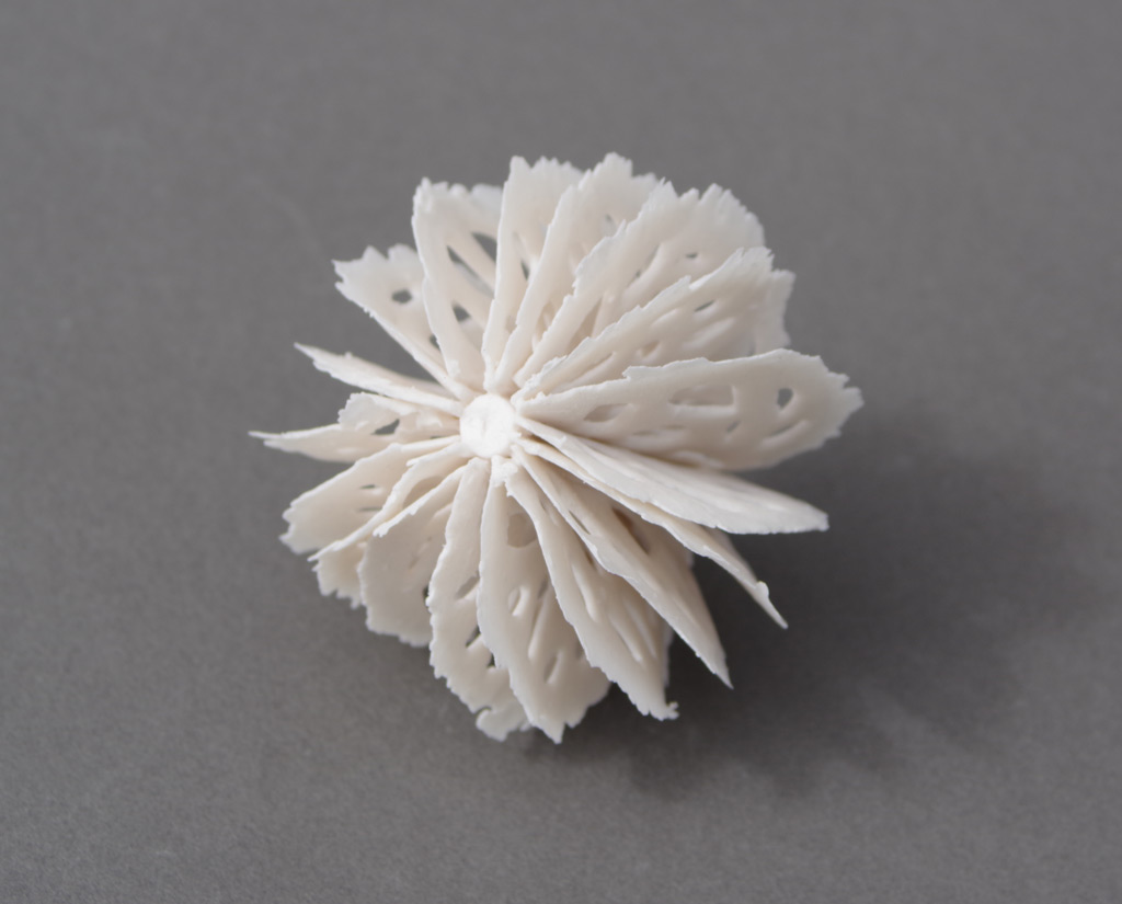 bone series: urchins | shop | Jenni Ward ceramic sculpture