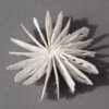 bone series: urchins | shop | Jenni Ward ceramic sculpture