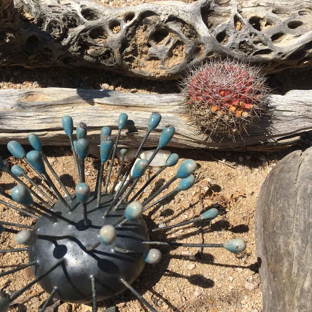 updates from baja... | the dirt | Jenni Ward ceramic sculpture