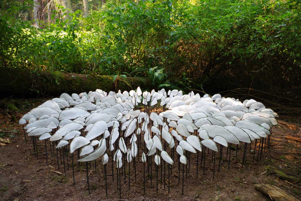 lichen series | spore patterns | public art | Jenni Ward ceramic sculpture
