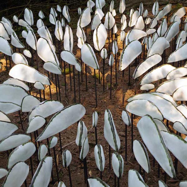 lichen series spore patterns | public art | Jenni Ward ceramic sculpture