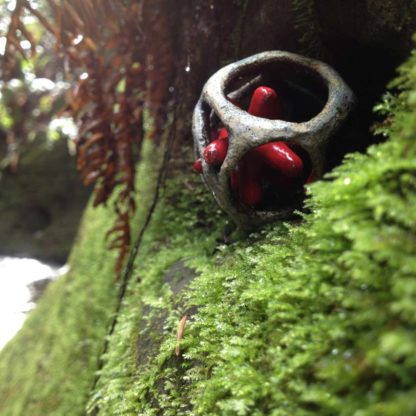 In the Field Photo: Nest Series | shop | Jenni Ward ceramic sculpture