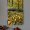 In the Field Photo: Umbel Series | shop | Jenni Ward ceramic sculpture