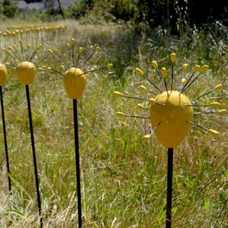 In the Field Photo: Umbel Series | shop | Jenni Ward ceramic sculpture