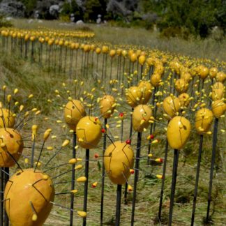 In the Field Photo: Umbel Series | shop | Jenni Ward ceramic sculpture