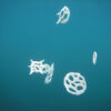 Bodies of Water Exhibit | Shop | Jenni Ward ceramic sculpture