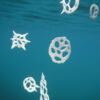 Bodies of Water Exhibit | Shop | Jenni Ward ceramic sculpture