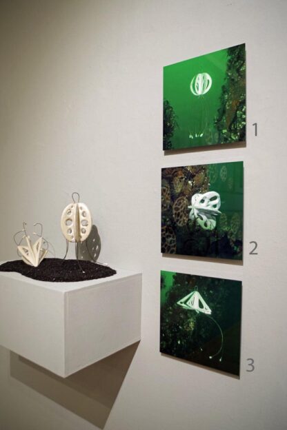 Bodies of Water Exhibit | Shop | Jenni Ward ceramic sculpture
