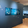 Bodies of Water Exhibit | Shop | Jenni Ward ceramic sculpture