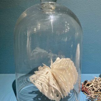 Urchin in Bell Jar | Shop | Jenni Ward ceramic sculpture