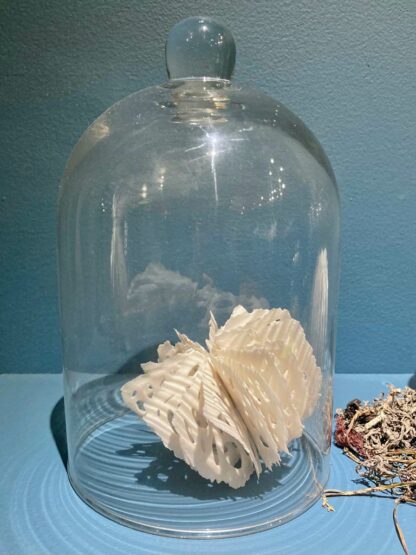Urchin in Bell Jar | Shop | Jenni Ward ceramic sculpture