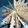 Bodies of Water Exhibit | Shop | Jenni Ward ceramic sculpture