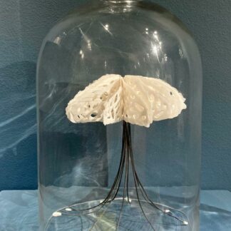 Bodies of Water Exhibit | Shop | Jenni Ward ceramic sculpture